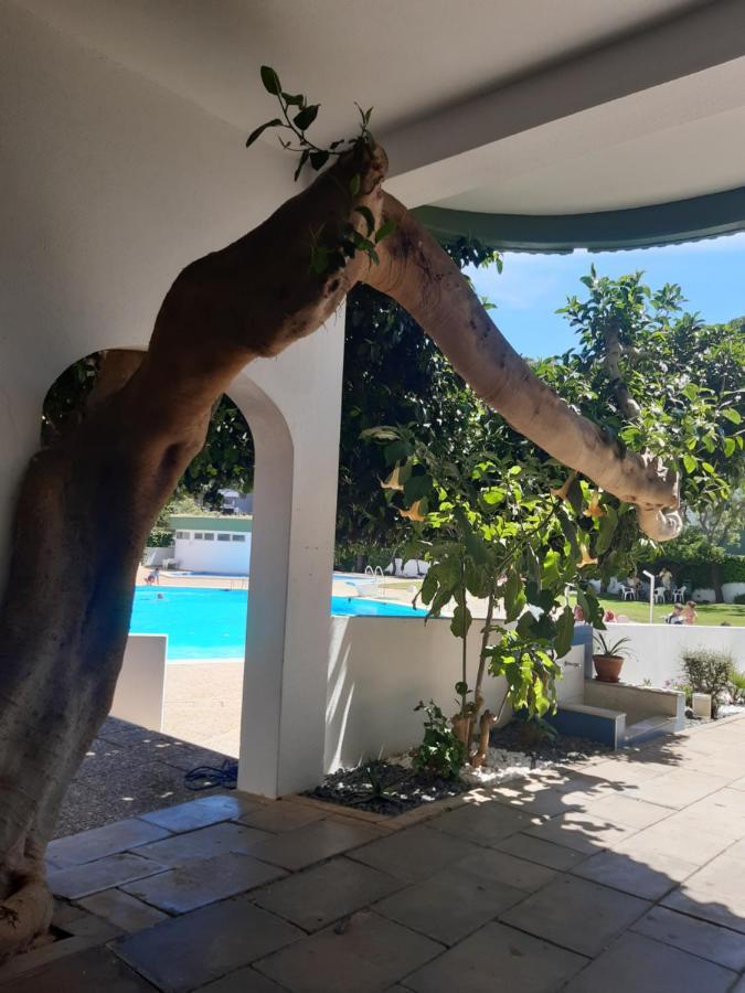 Apartamento Da Avo Te - Em Frente A Praia C Piscina Portimão Kültér fotó
