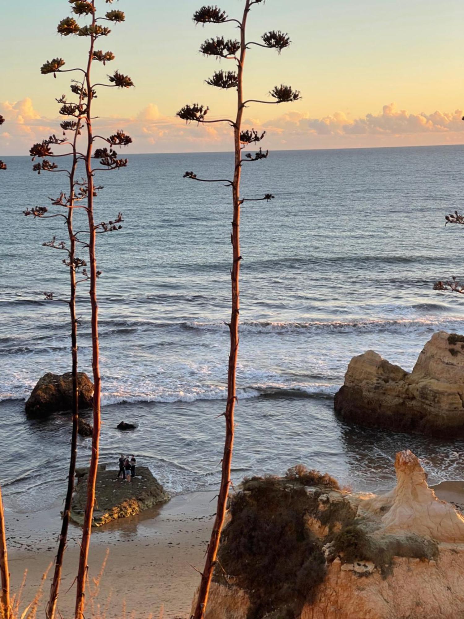 Apartamento Da Avo Te - Em Frente A Praia C Piscina Portimão Kültér fotó